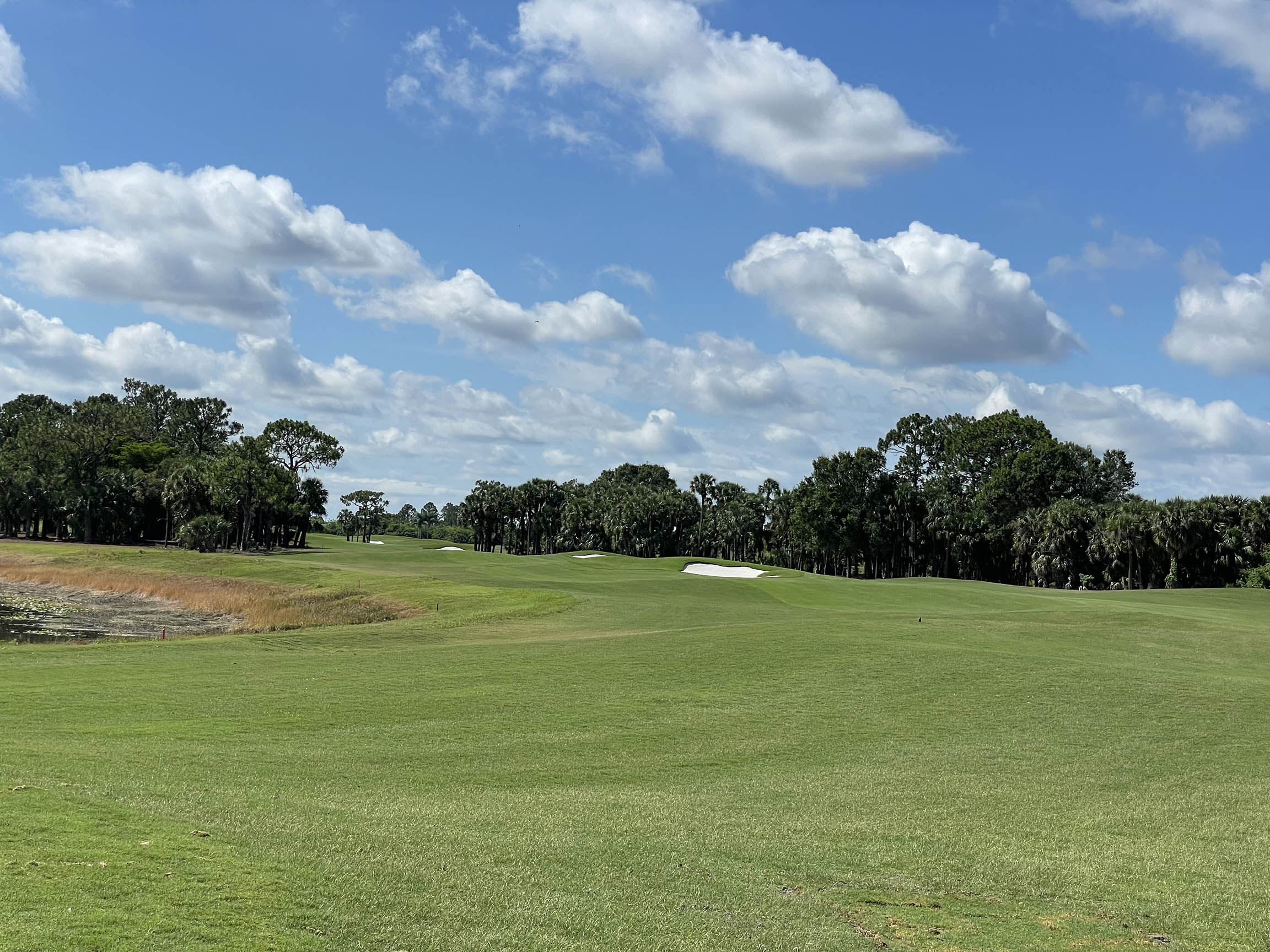 Home Ibis Landing Golf Club