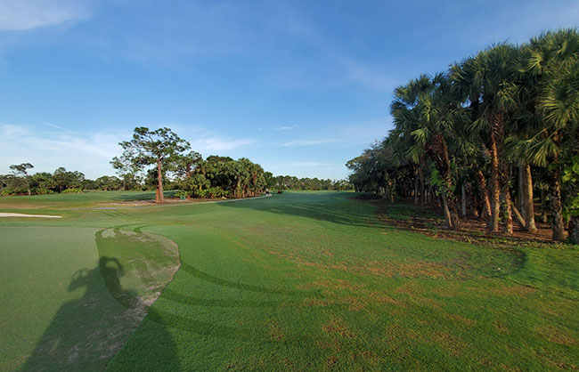 Home - Ibis Landing Golf Club